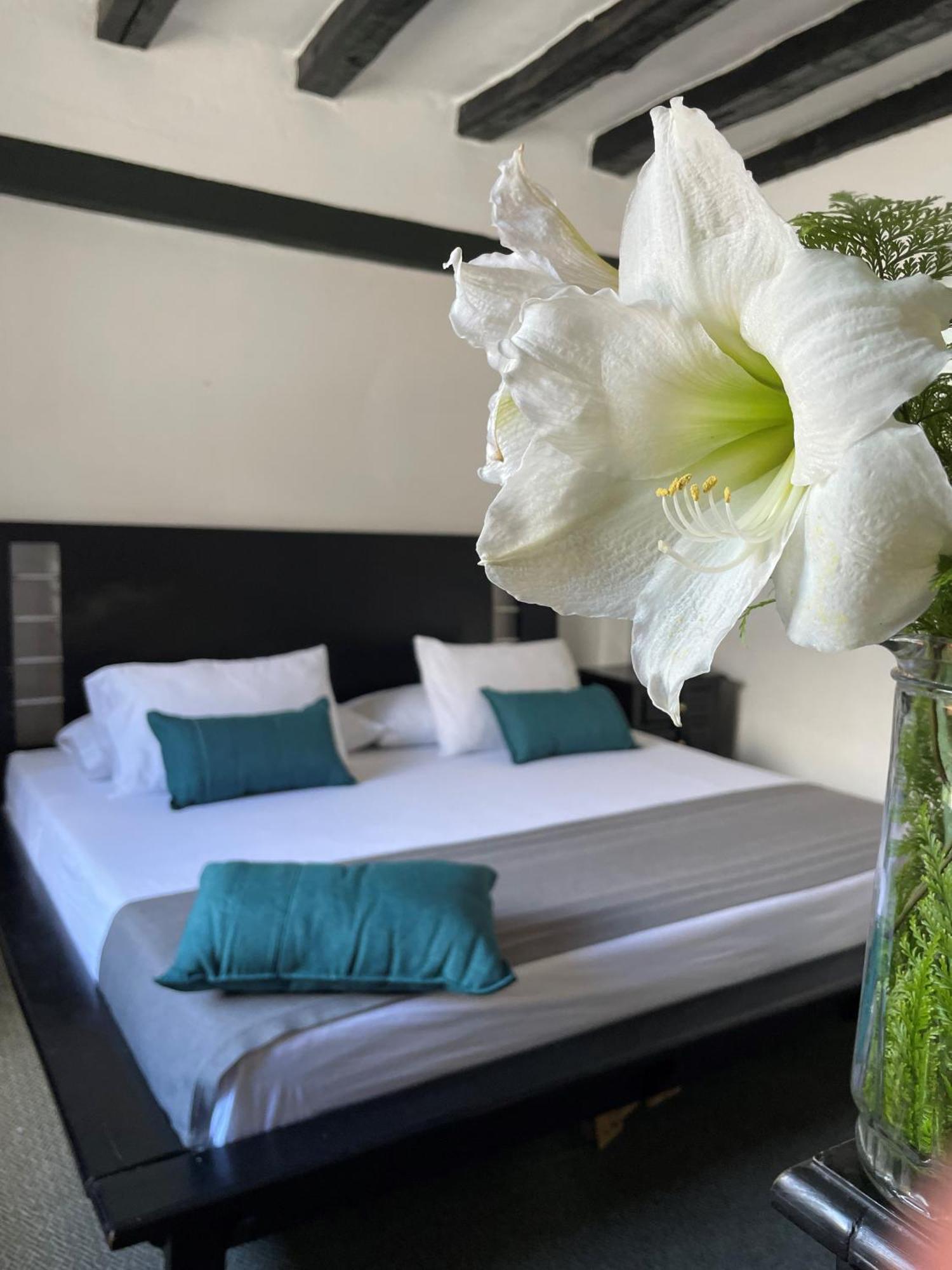 Hotel Premium Real Medellín Eksteriør billede